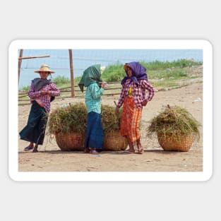 Burmese Women, Bagan Sticker